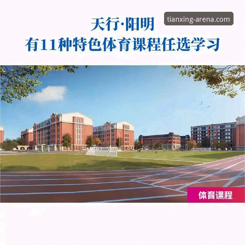 天行体育网页版深度评测：从安卓下载到移动端体验的全维度分析